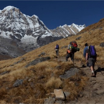 Best of Annapurna Sanctuary Trek image